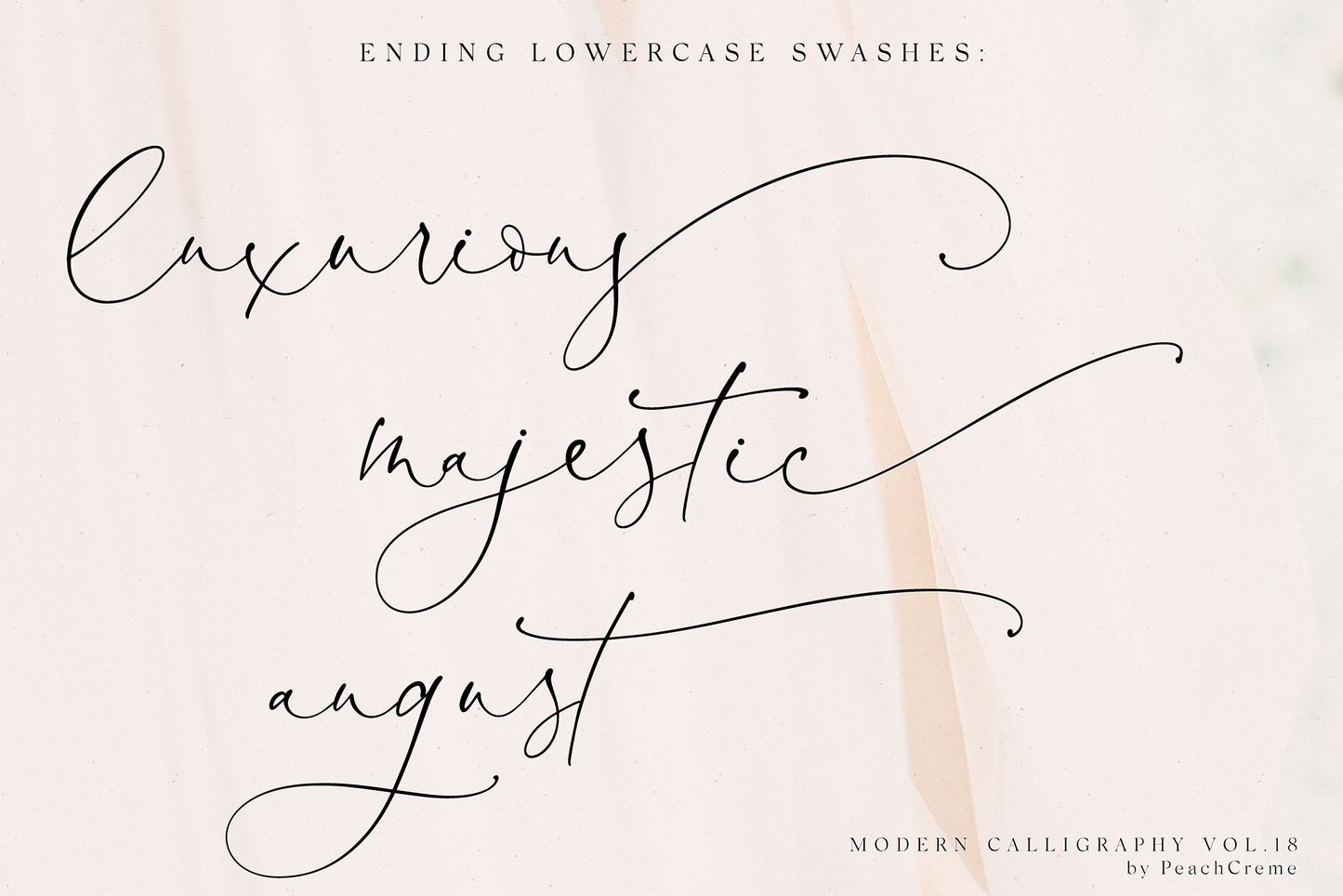 Antoinette Modern Script
