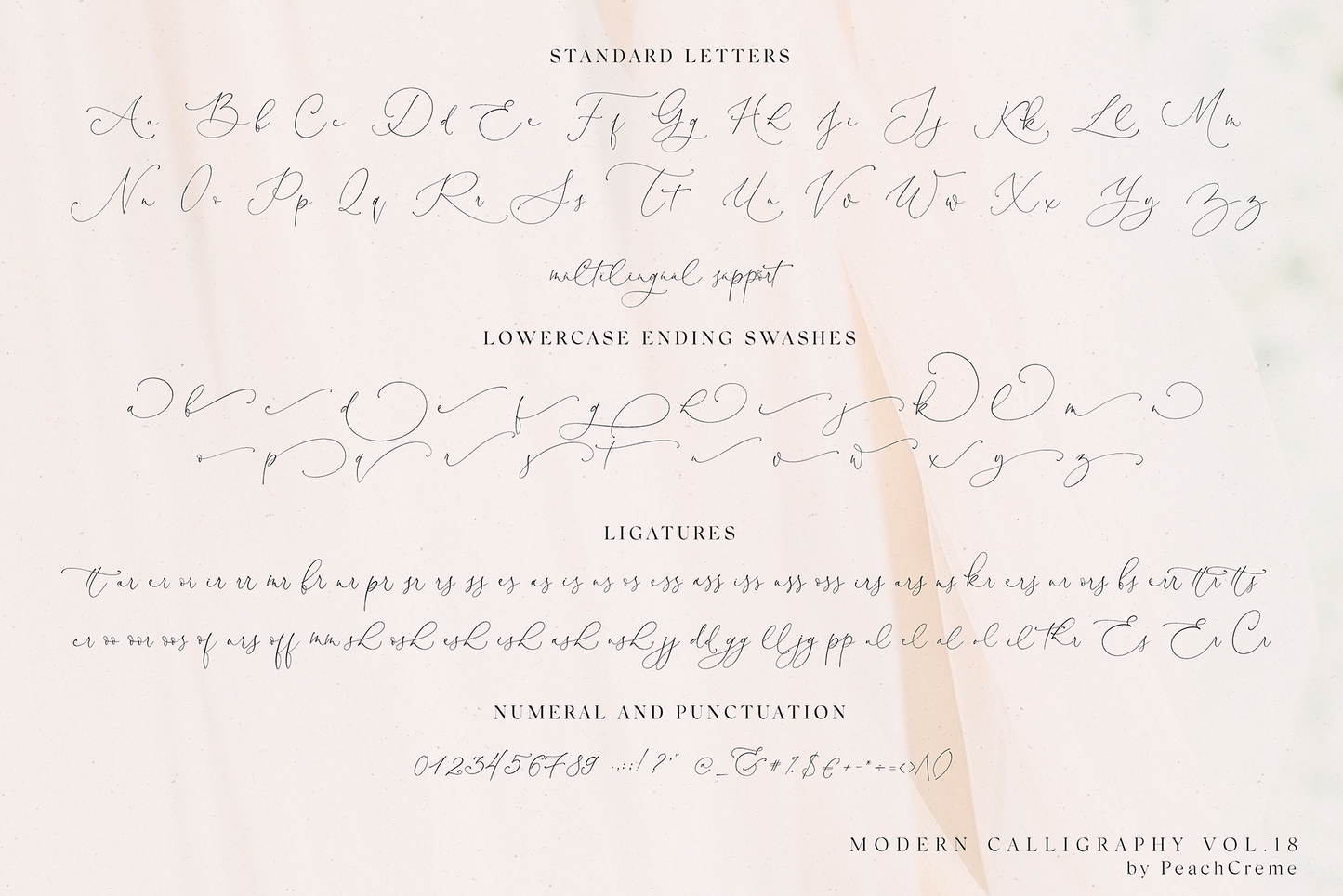 Antoinette Modern Script