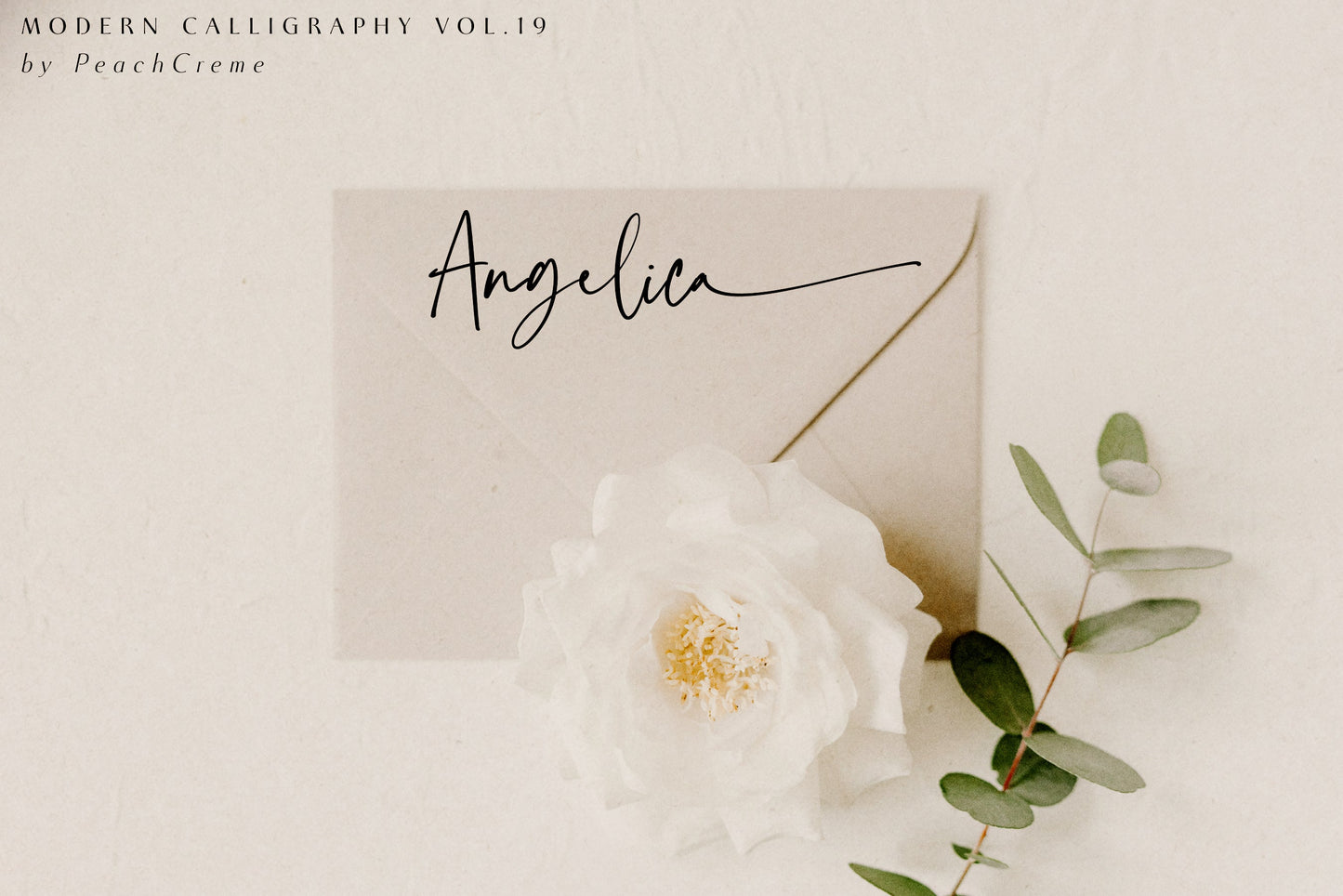 Faustine Modern Script Font