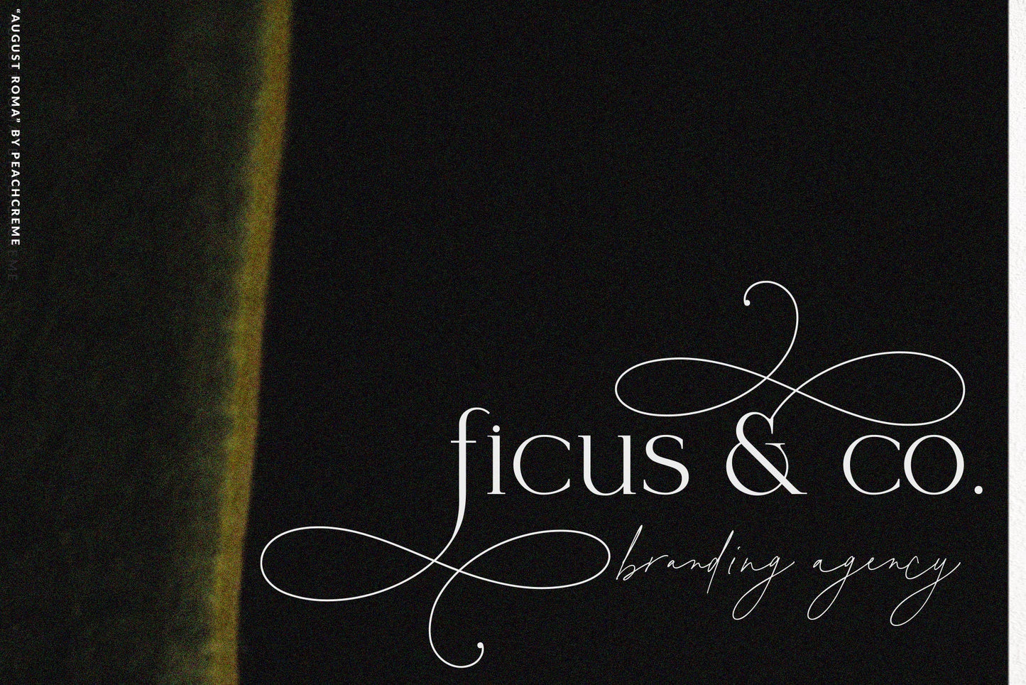 August Roma // Elegant Luxury Font Duo