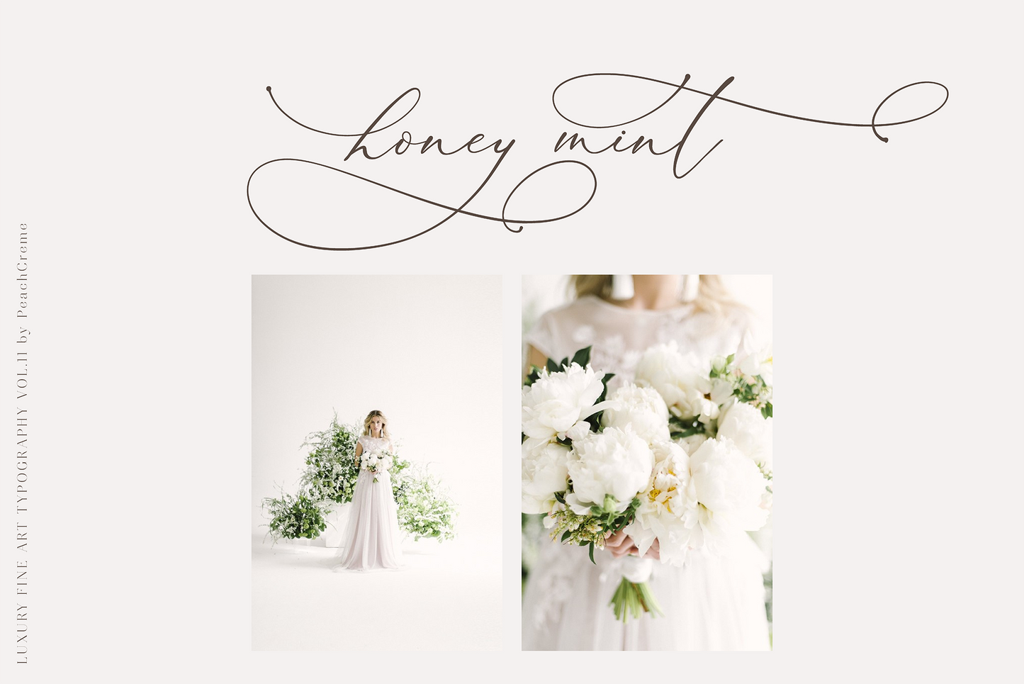 Darling Modern Font