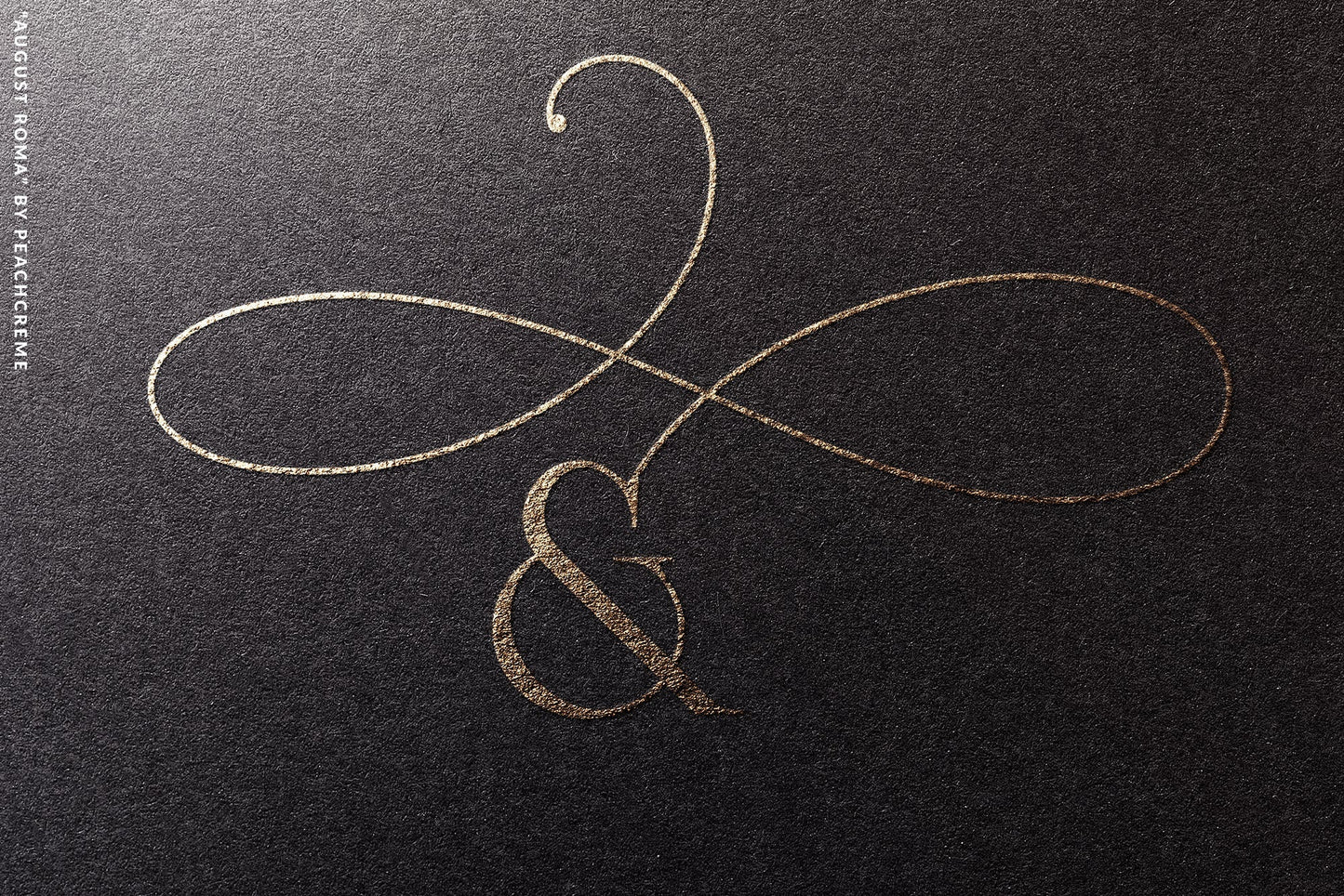 August Roma // Elegant Luxury Font Duo