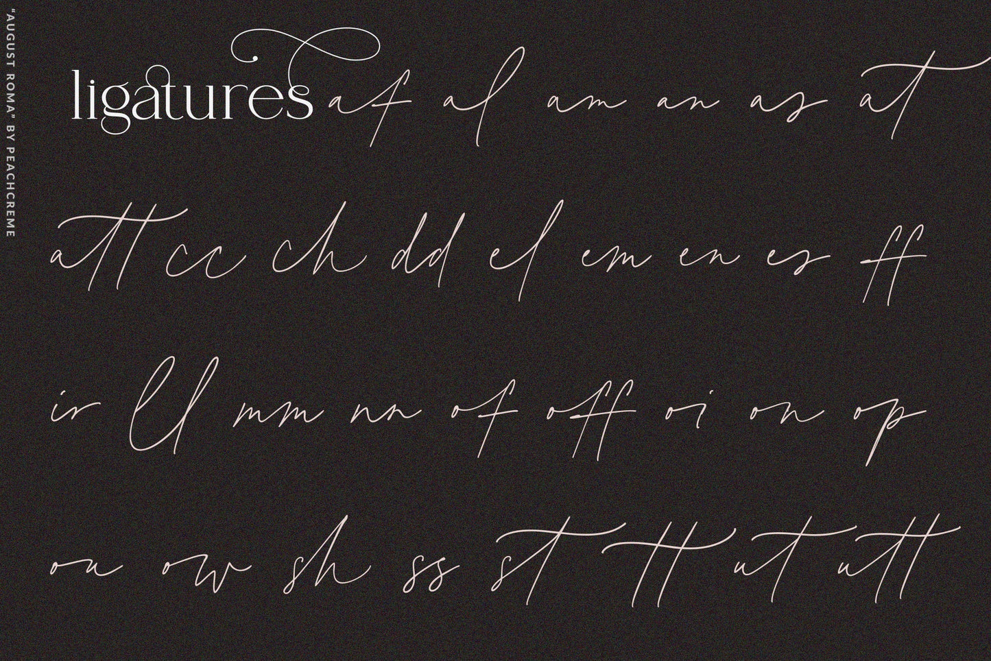 August Roma // Elegant Luxury Font Duo