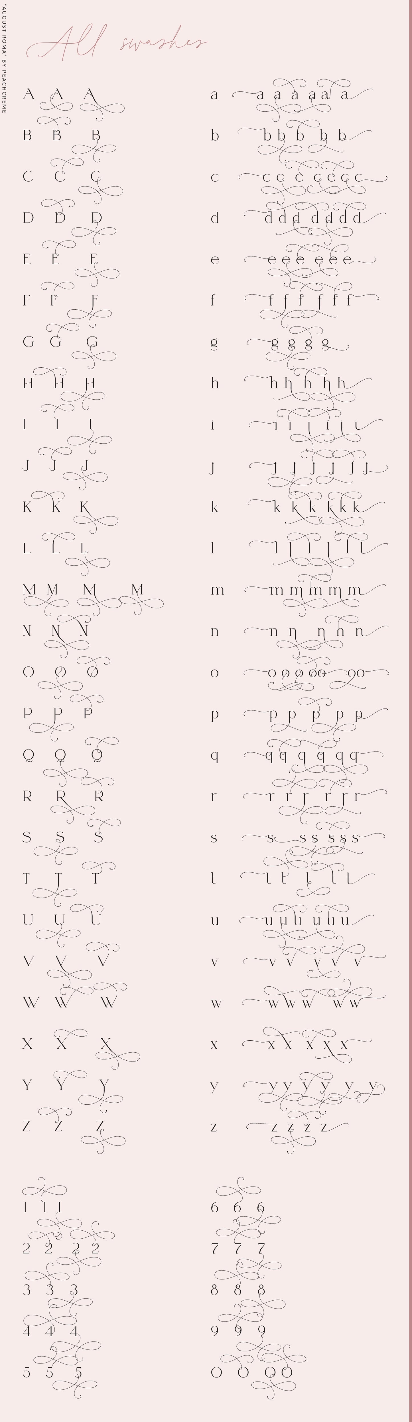 August Roma // Elegant Luxury Font Duo