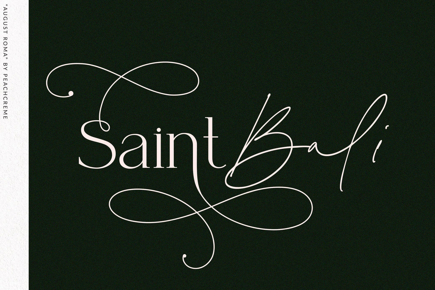 August Roma // Elegant Luxury Font Duo