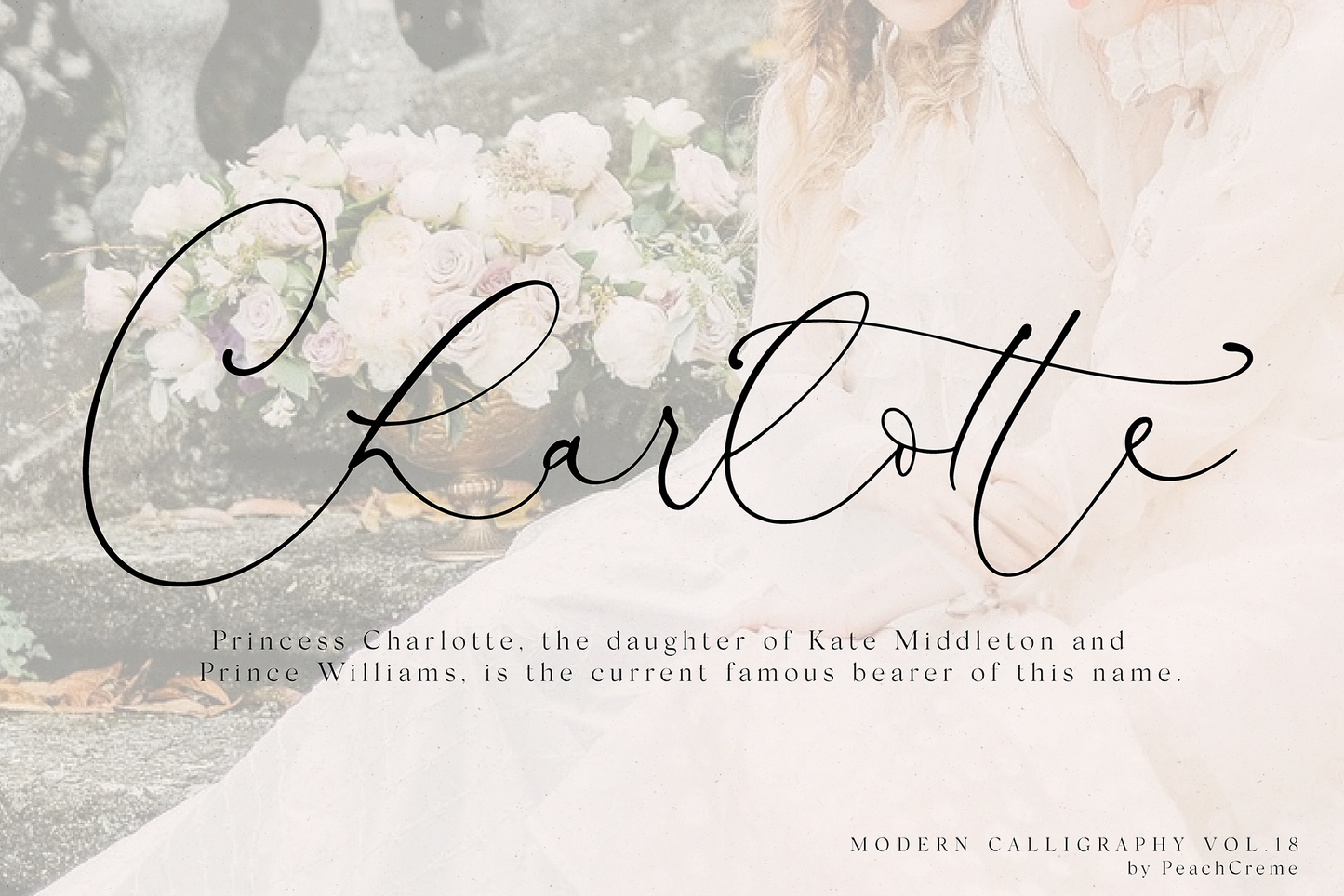Antoinette Modern Script
