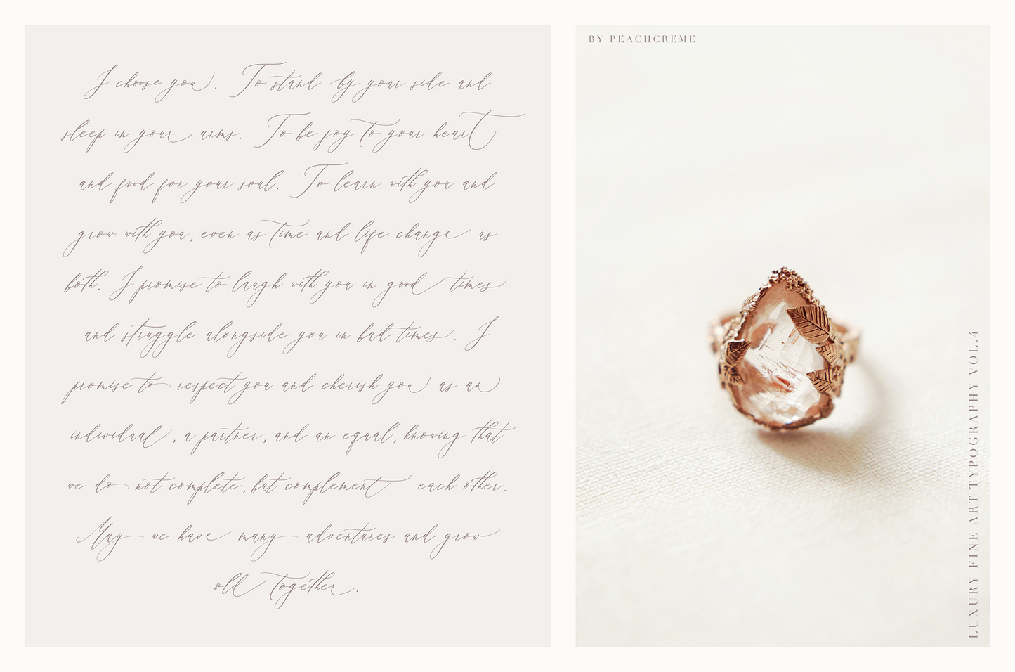 Adora Bouton Script