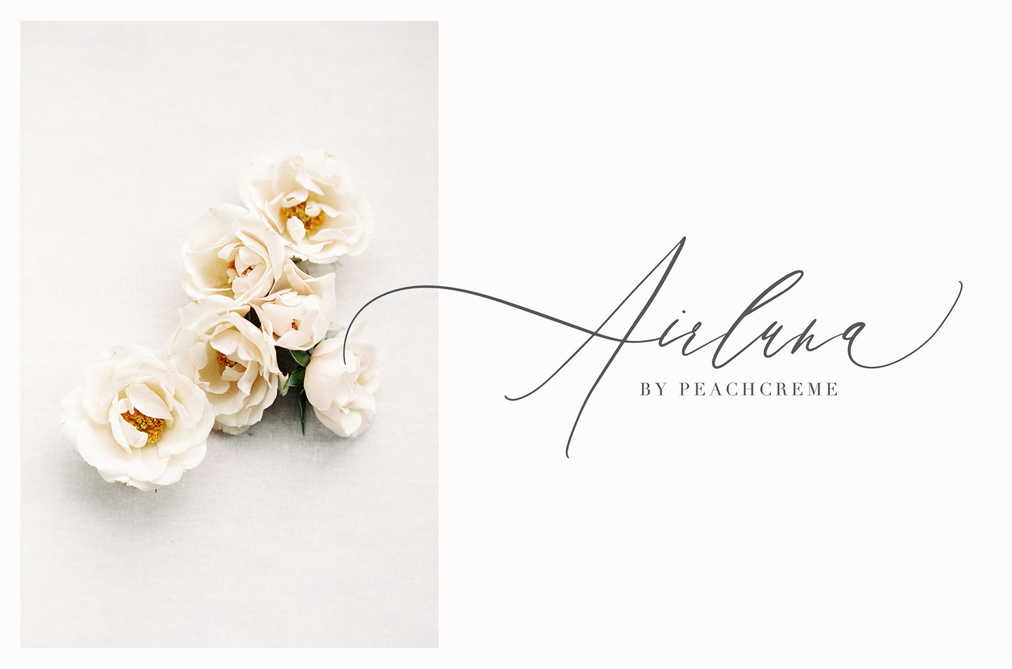 Adora Bouton Script