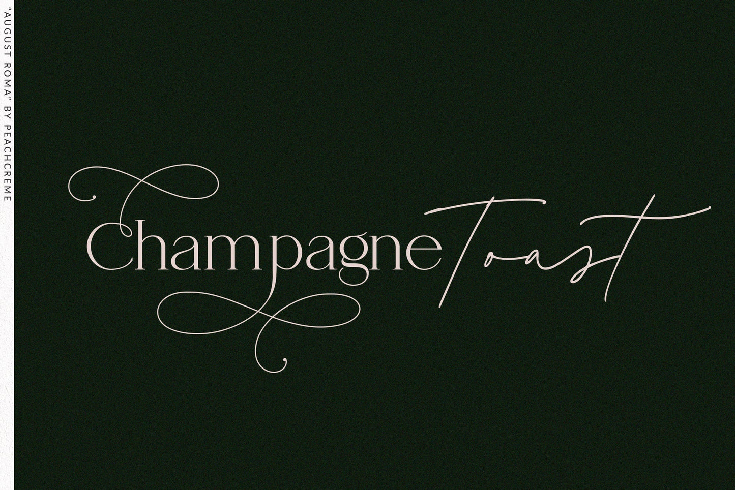 August Roma // Elegant Luxury Font Duo