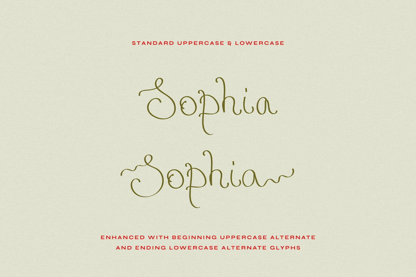 Delicate Ribbons // Quirky Script Font