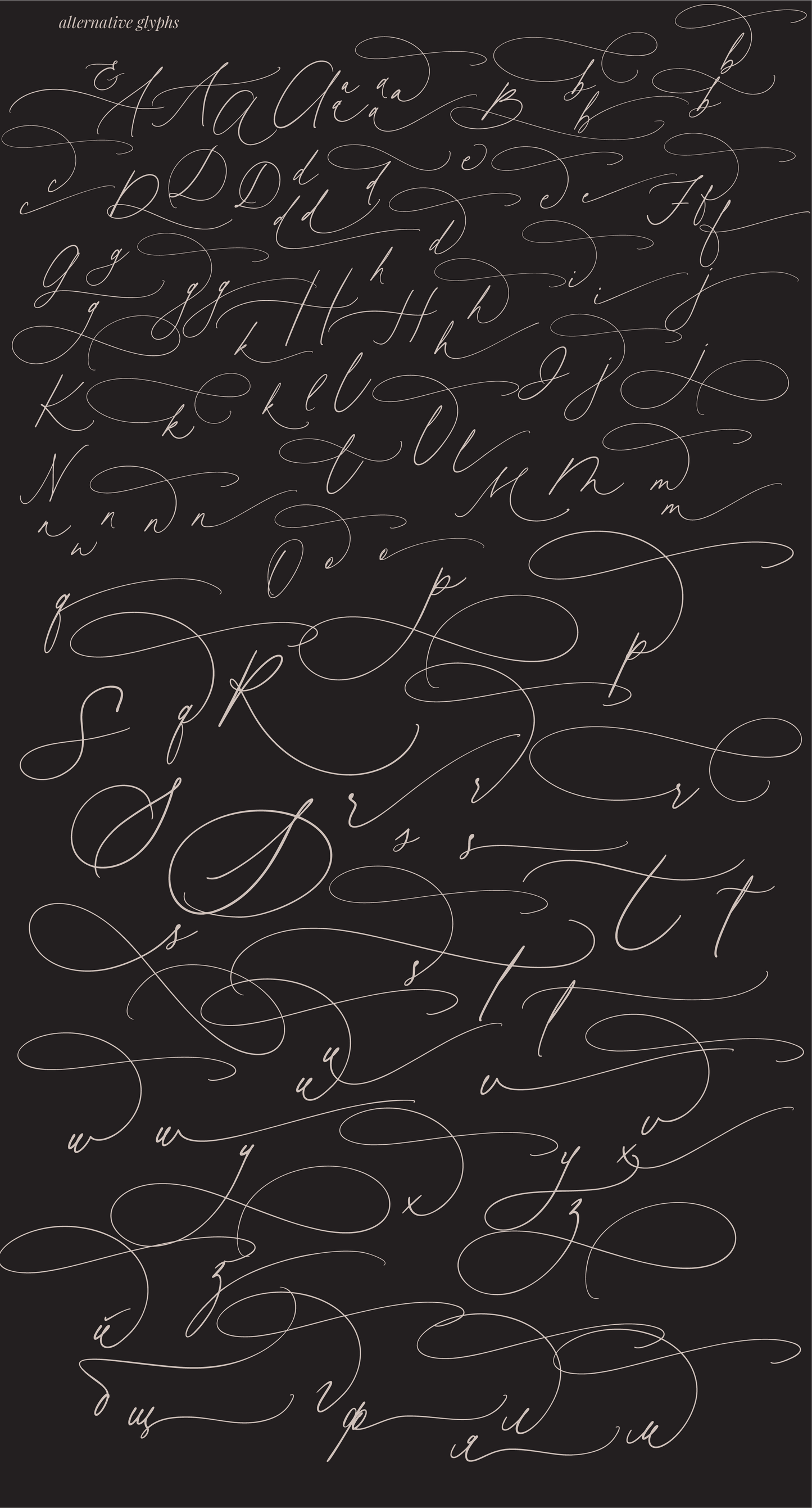 Honey Vineyard // Modern Calligraphy