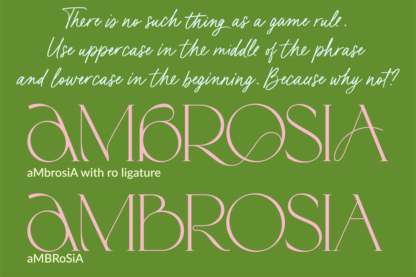 Karme // Font Duo