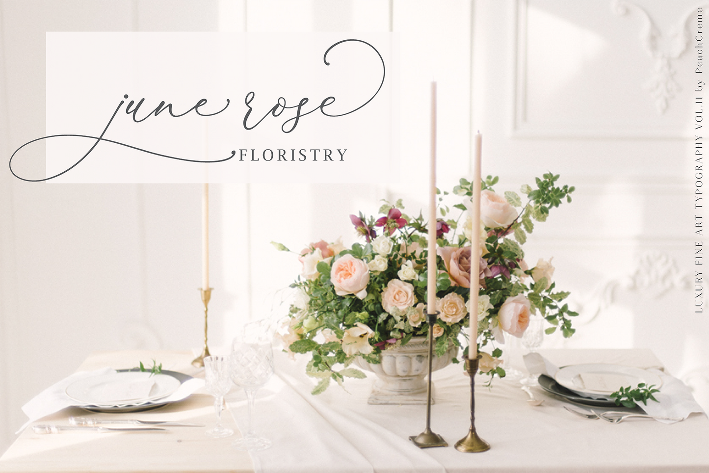 Darling Modern Font