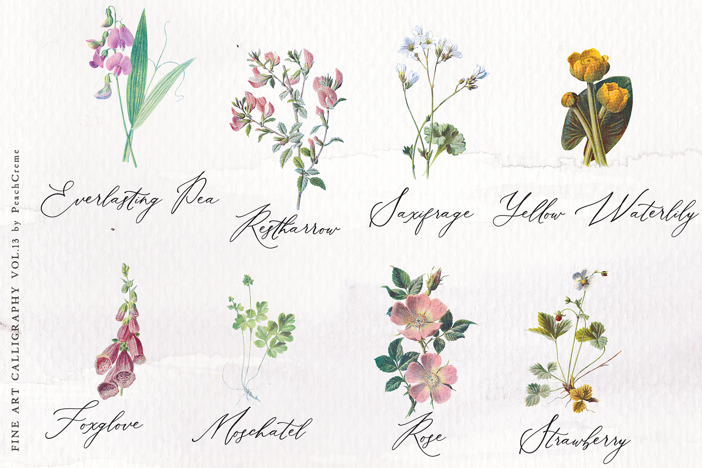 Roseberry & Beatrice Font