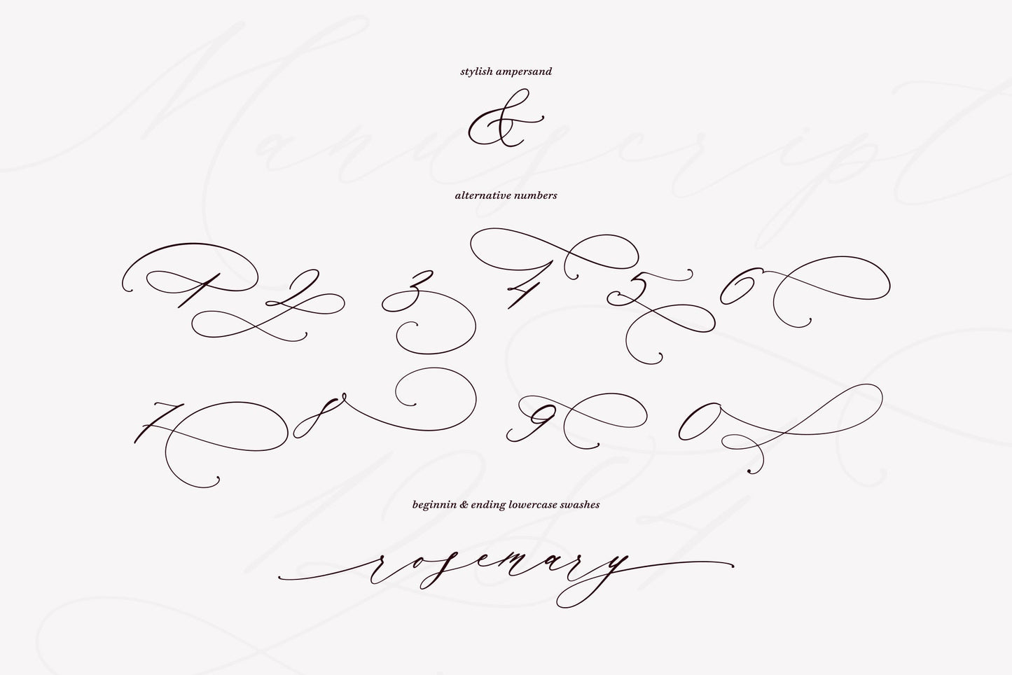 Manuscript 1284 Script