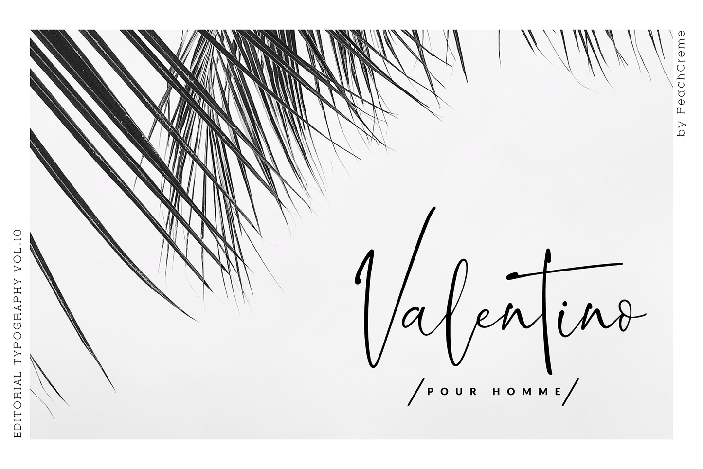 Blush Society Font