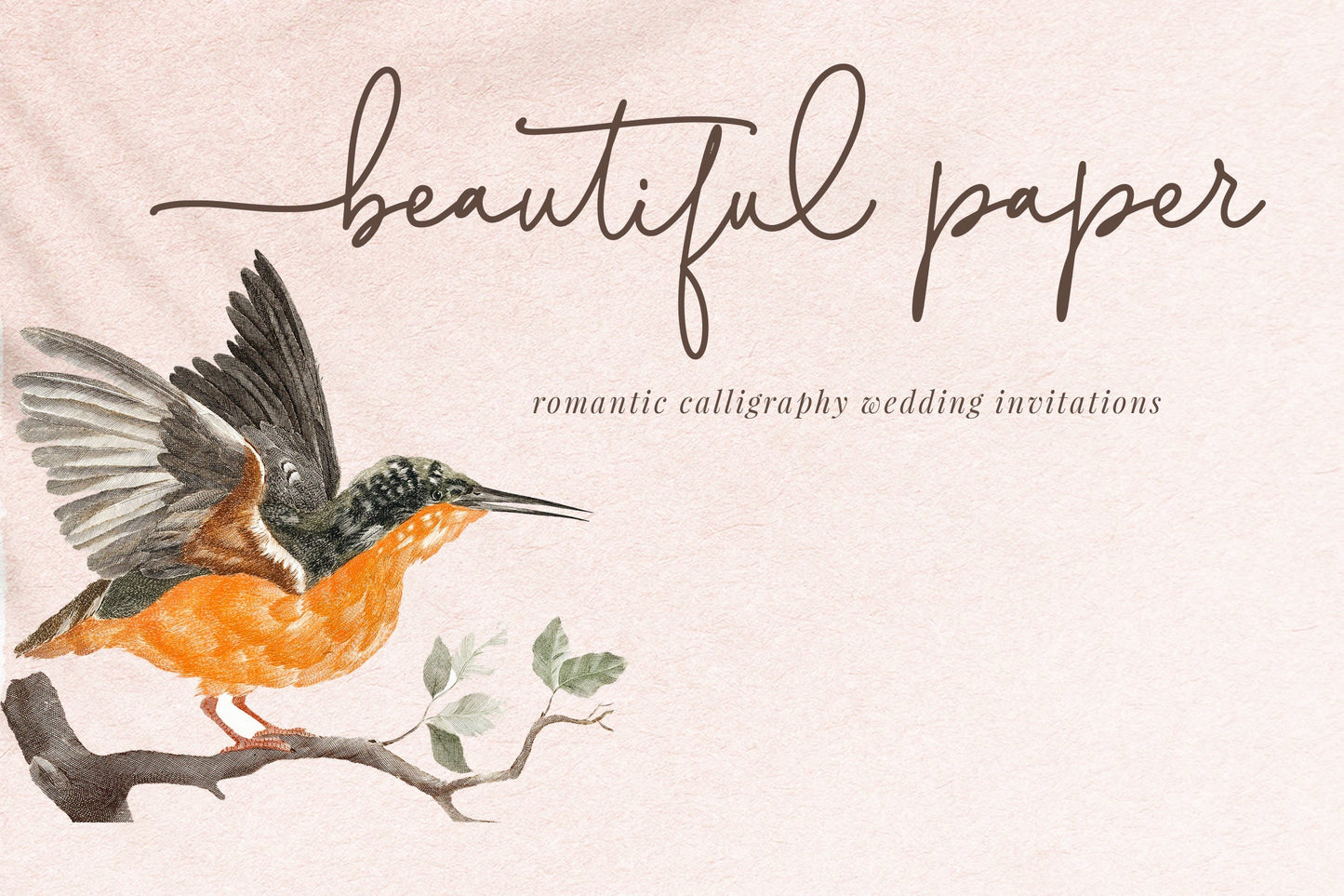 Lolita Casual Script