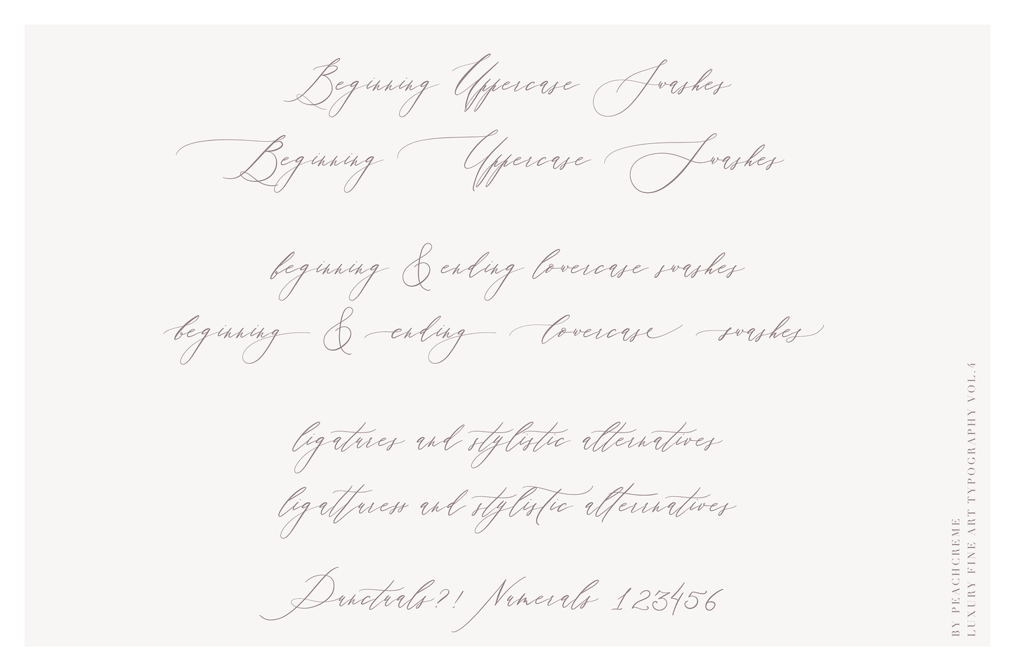 Adora Bouton Script