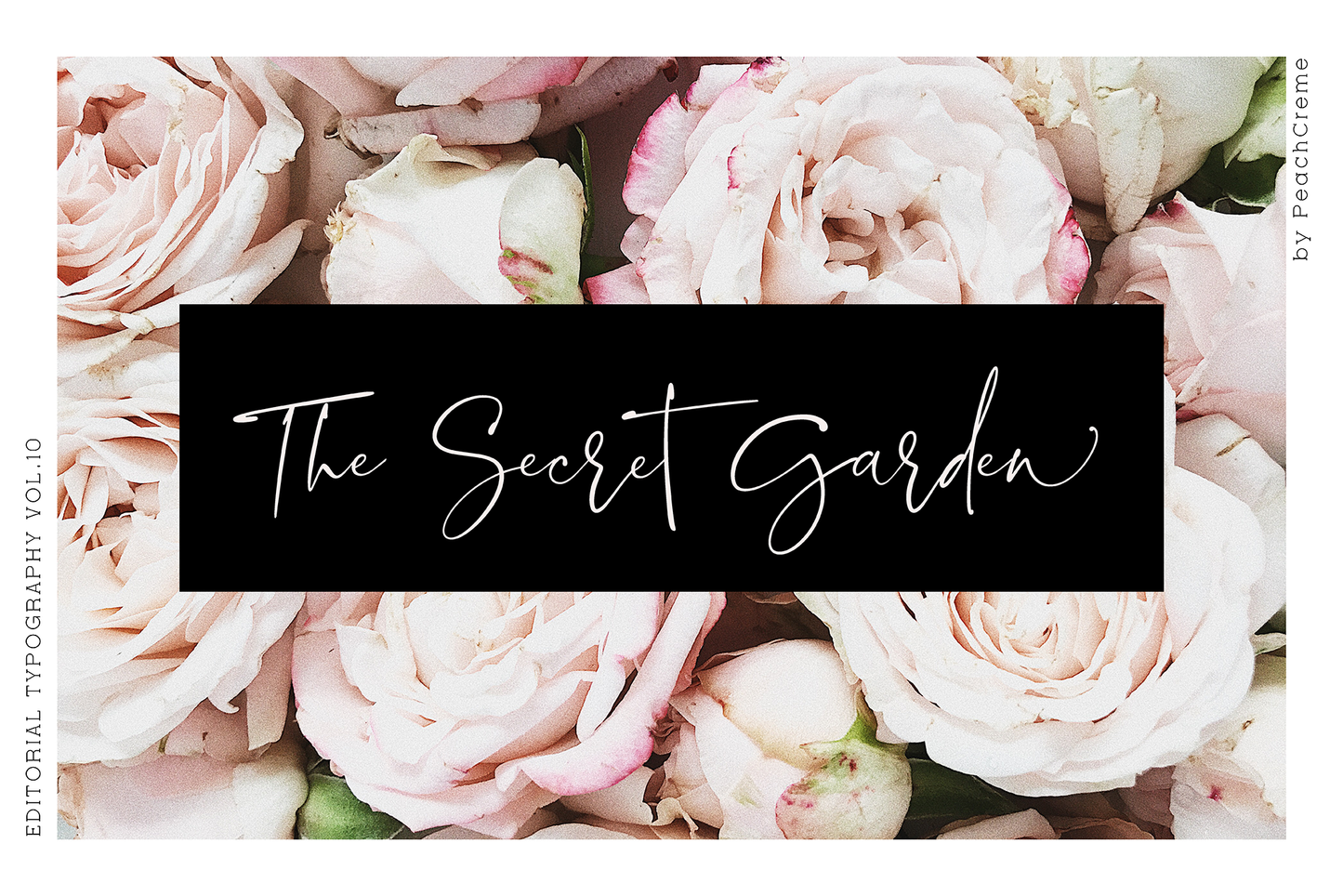 Blush Society Font