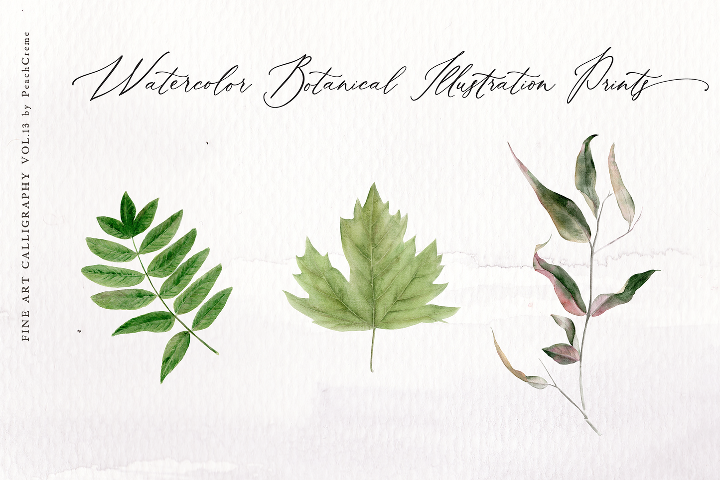 Roseberry & Beatrice Font