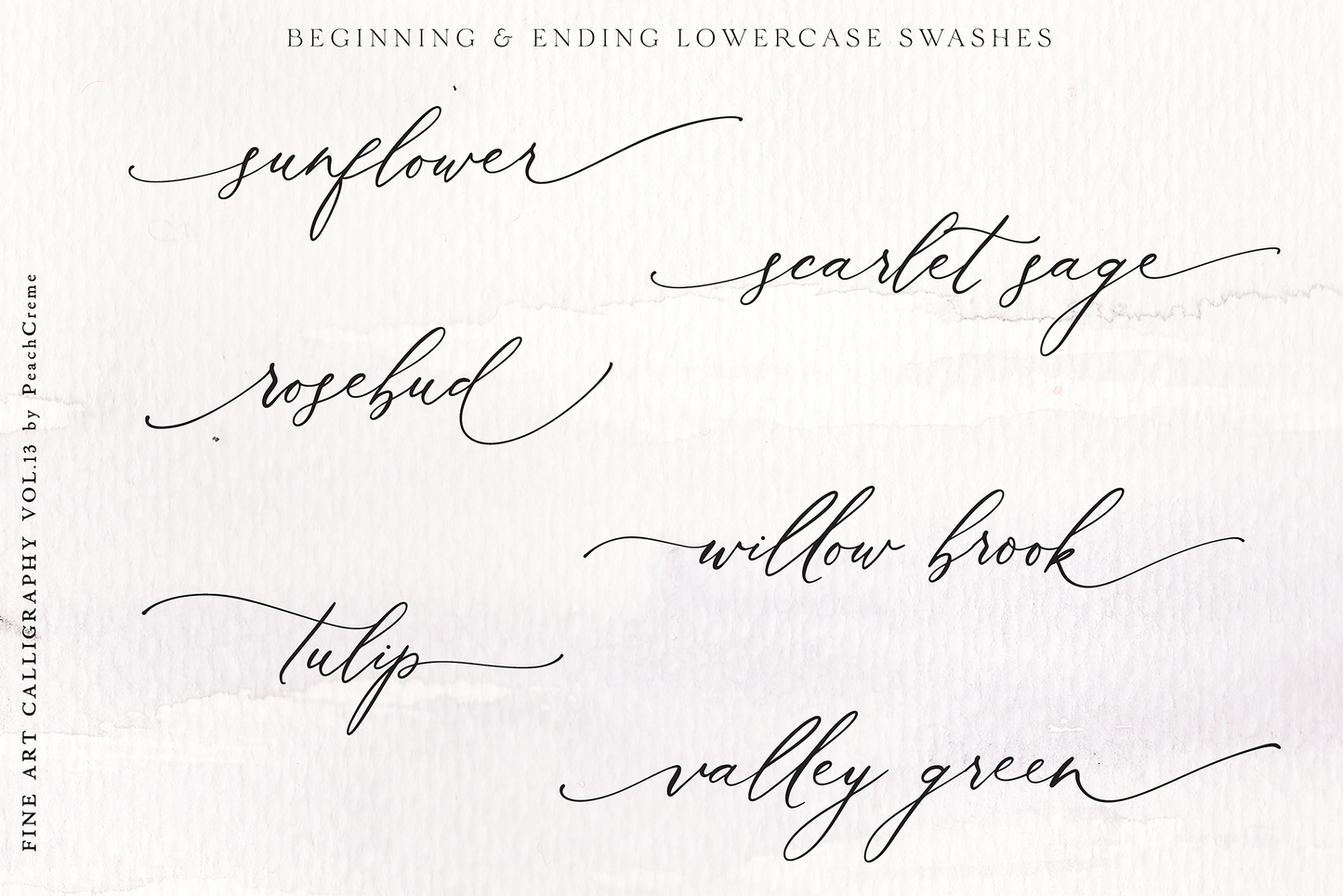 Roseberry & Beatrice Font