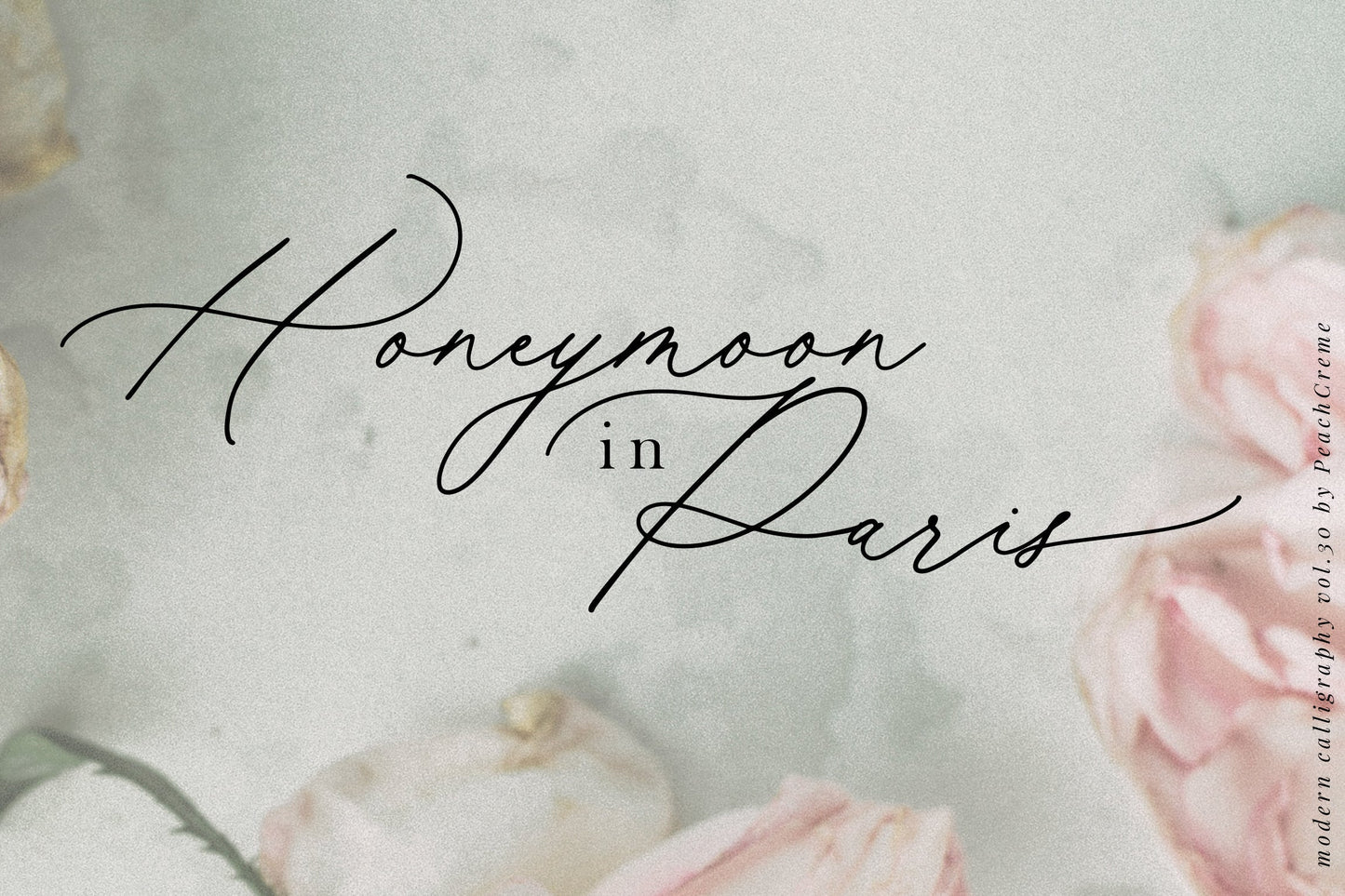 Hermitage Modern Script